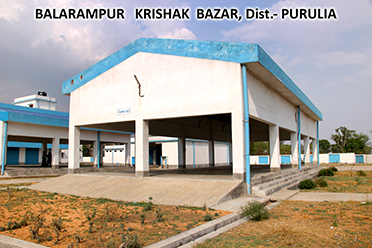 Auction Platform,Balarampur Krishak Bazar